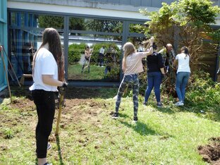Entfernen der Berberitze 5_Gems_Gue_Bach_Entfernen_Berberitze