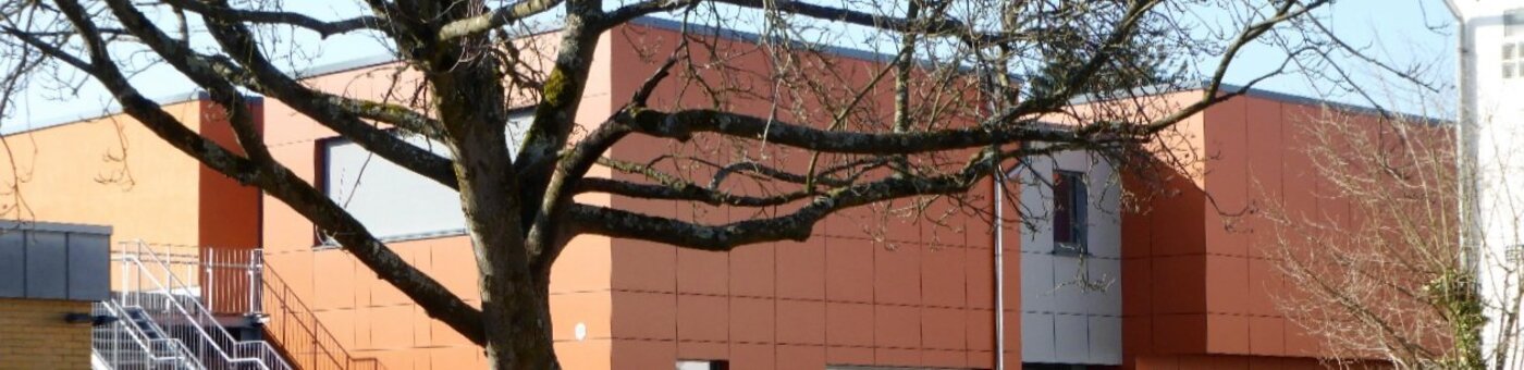 Neubau_laengs