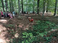 20230908_Abenteuerpark_5er